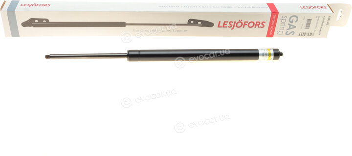 Lesjofors 8142102