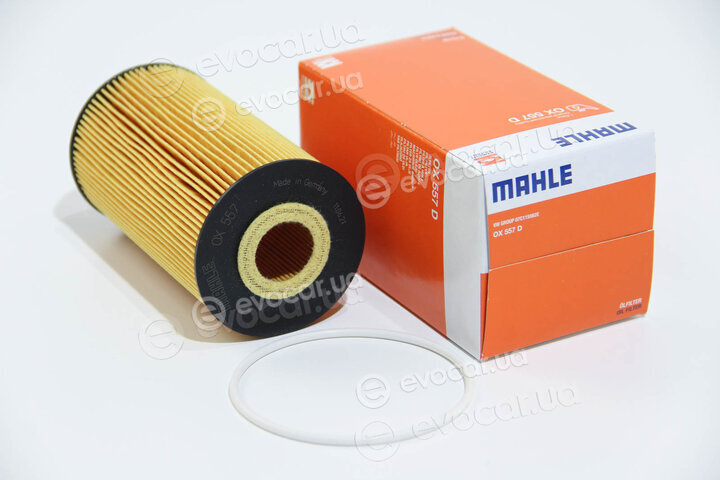 Mahle OX 557D