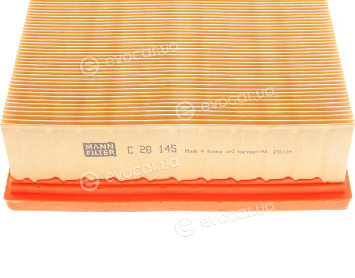 Mann C 28 145