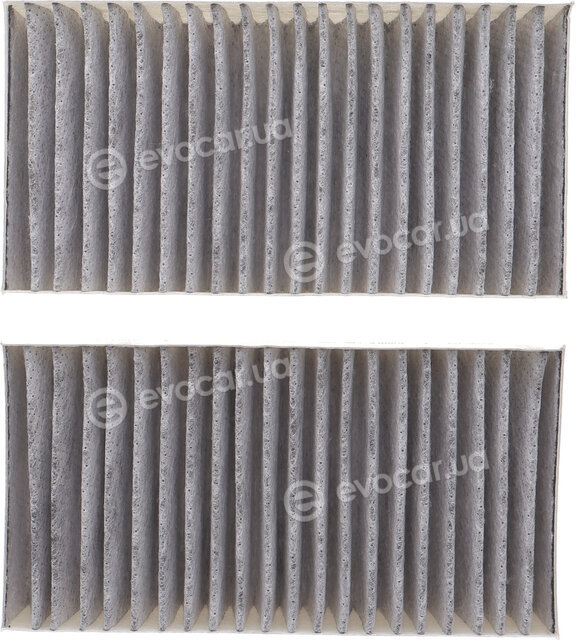 Mahle LAK 295/S