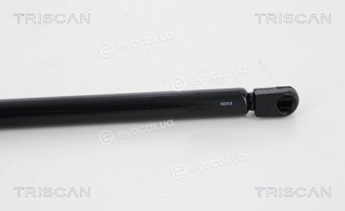 Triscan 8710 29294