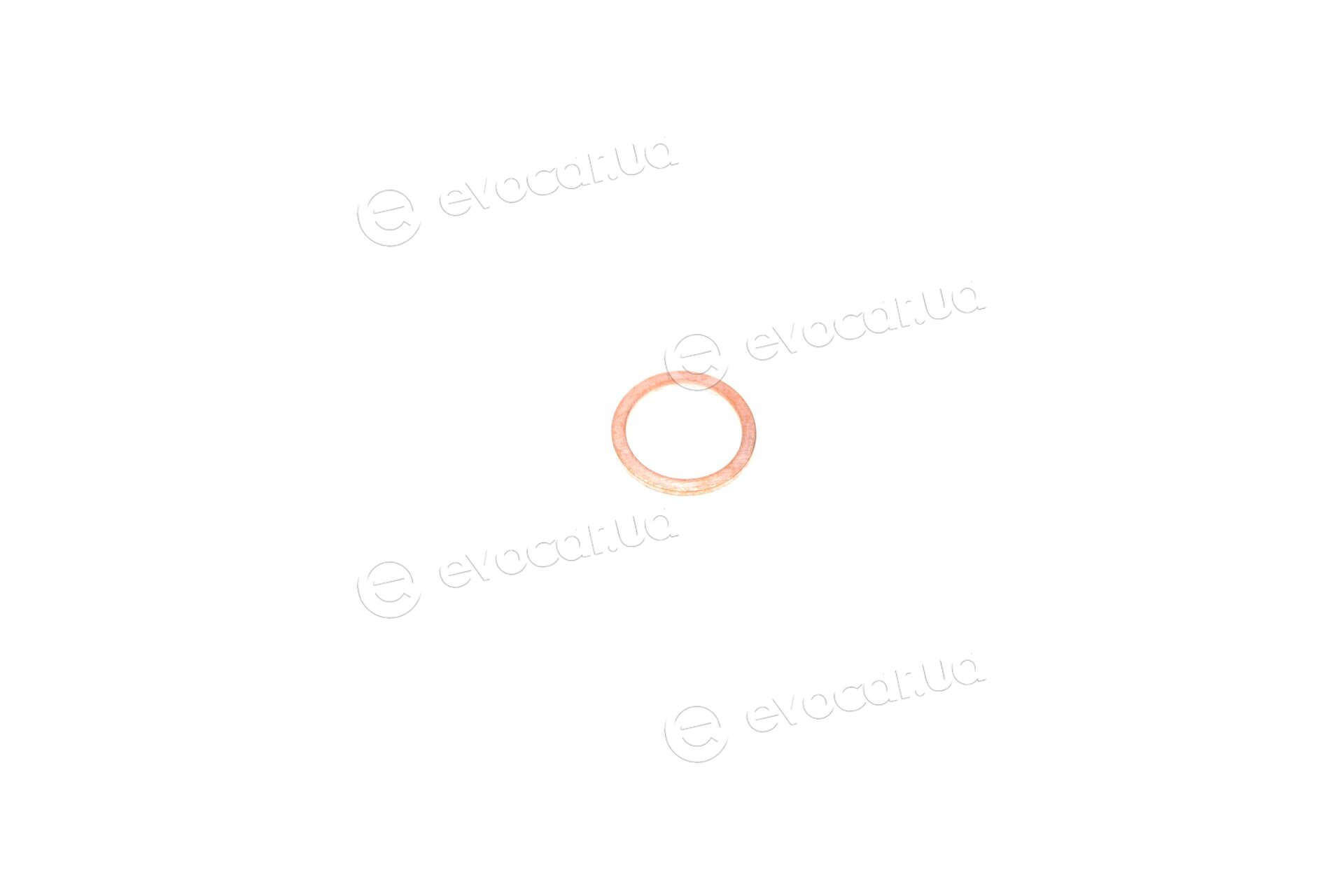 Elring 301.400
