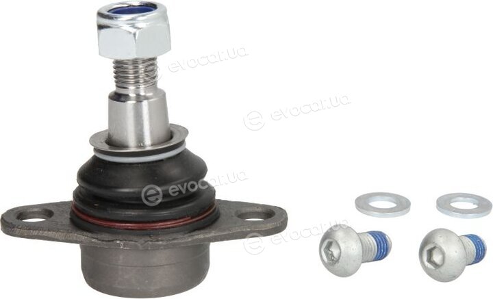 Reinhoch RH03-3019