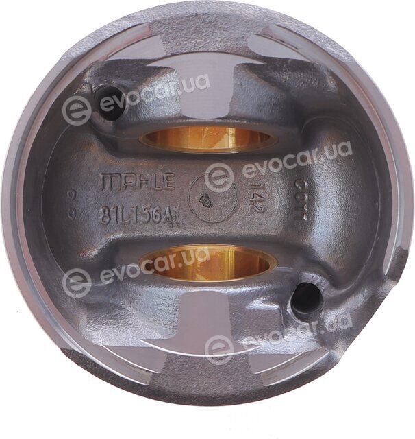Mahle 028 PI 00100 000
