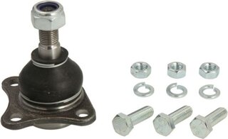 Reinhoch RH03-1003