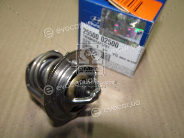 Kia / Hyundai 2550002500