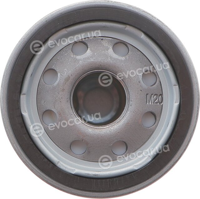 Hengst HG493W
