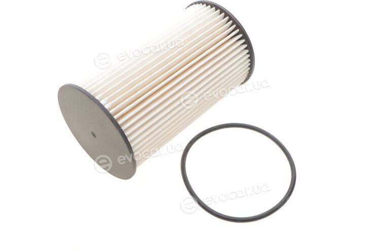 Solgy 102026