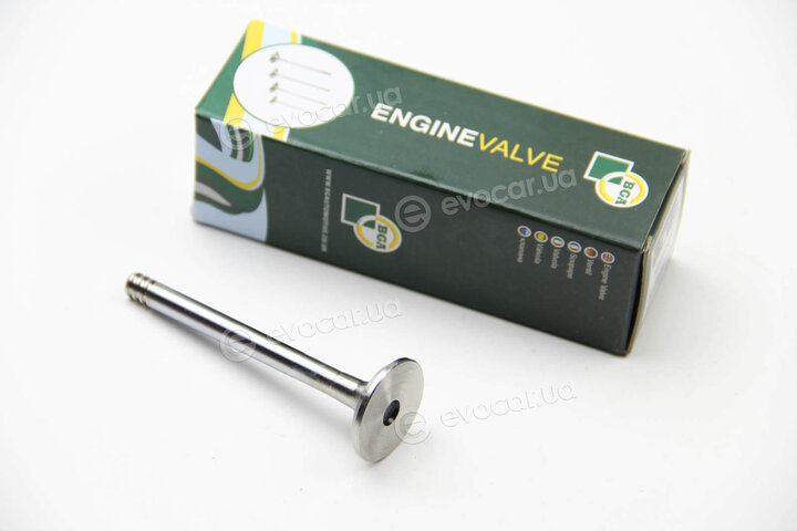 BGA V033049