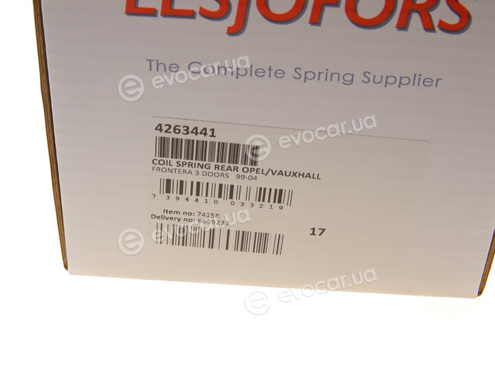 Lesjofors 4263441