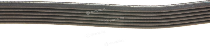 Dayco 6PK2210