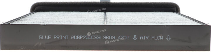 Blue Print ADBP250039