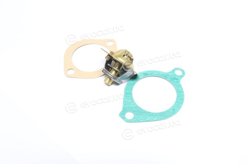 Wahler / BorgWarner 3119.88D3