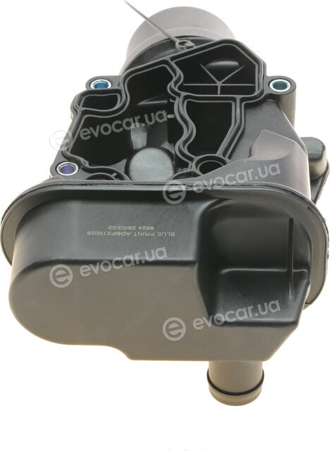 Blue Print ADBP210028