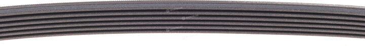 Continental 6PK995
