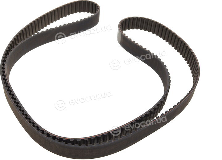 Gates K025557XS