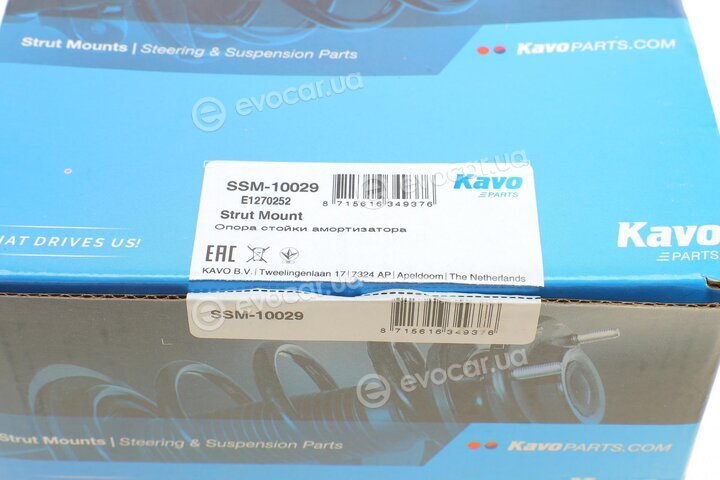 Kavo SSM-10029