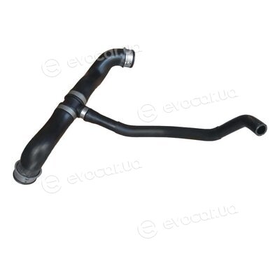 Bapmic TOPT1113047