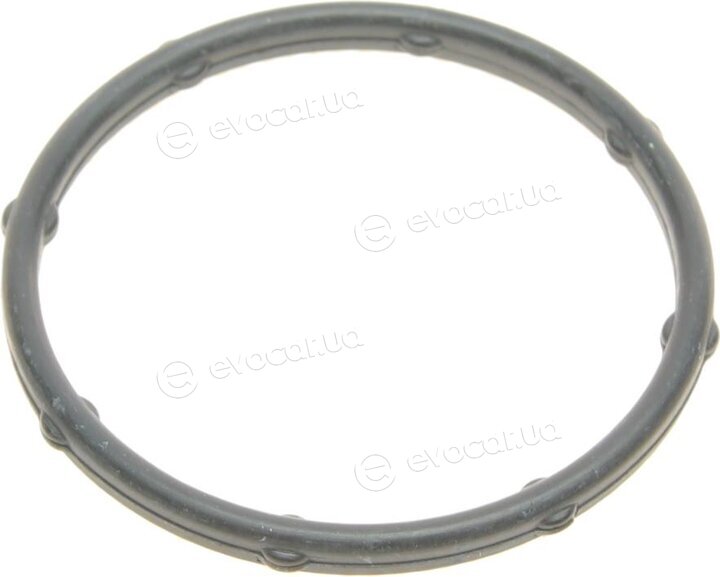 Elring 459.720