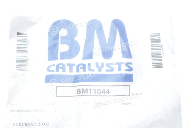 BM Catalysts BM11044