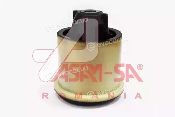 Asam 01334