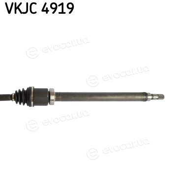 SKF VKJC 4919