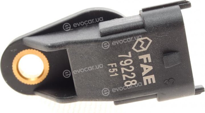 FAE 79228