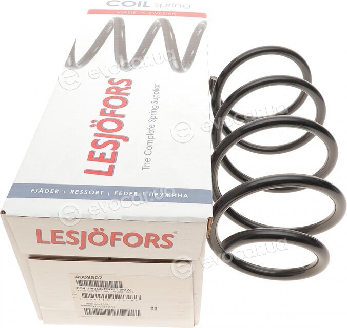 Lesjofors 4008507