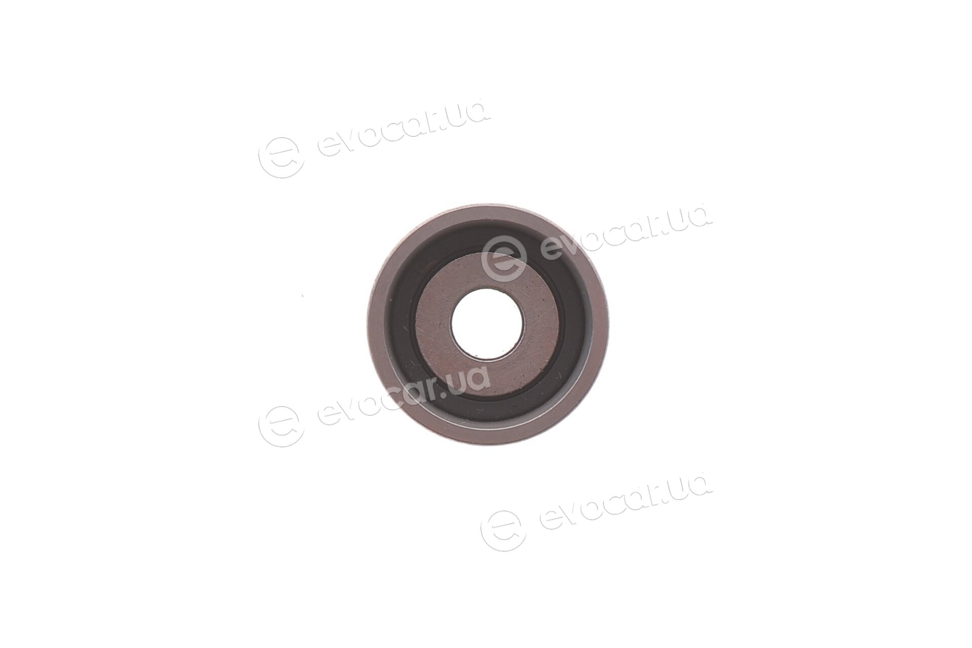 Dayco KTBWP4940