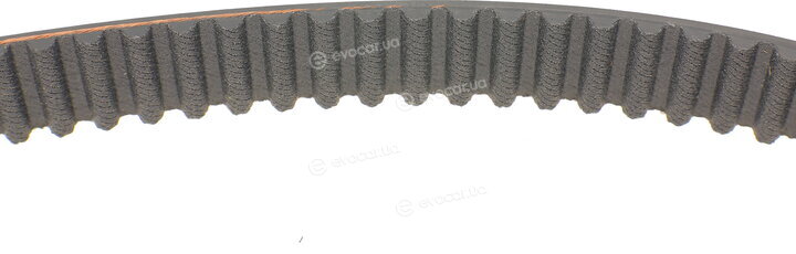 Dayco KTB503