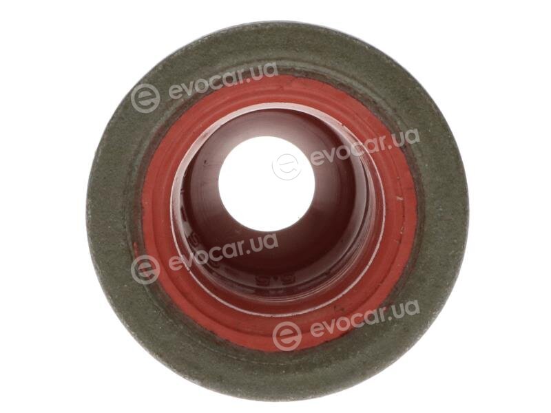 Starline GA 6504