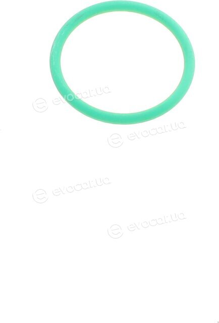 Elring 587.150