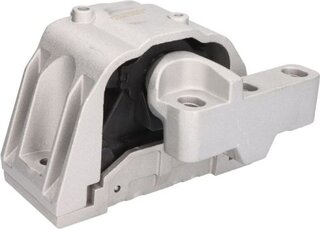 Reinhoch RH11-0166