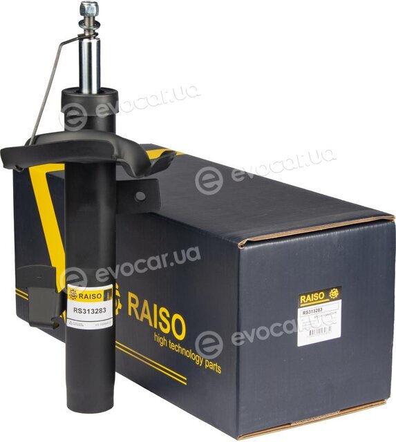 Raiso RS313283