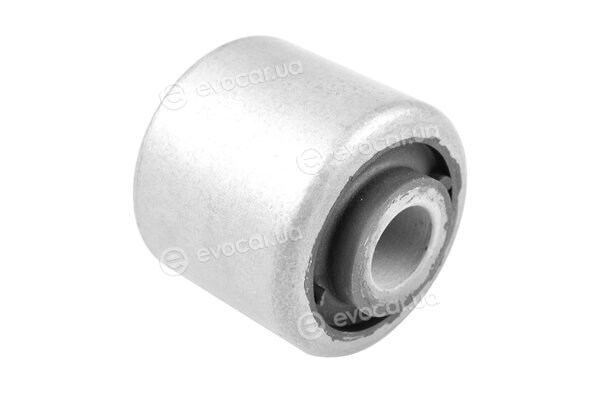Tedgum TED99855