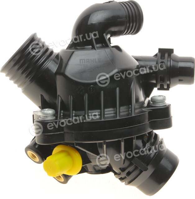 Mahle TM 30 97