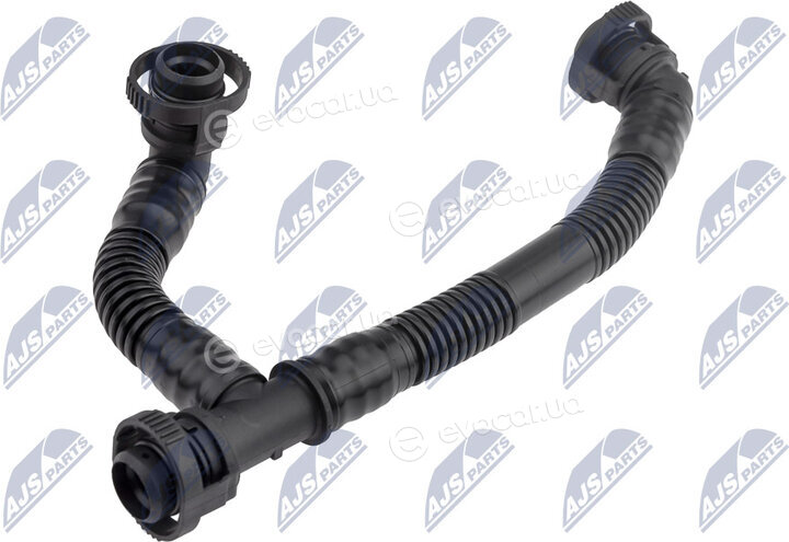 NTY GPP-BM-019