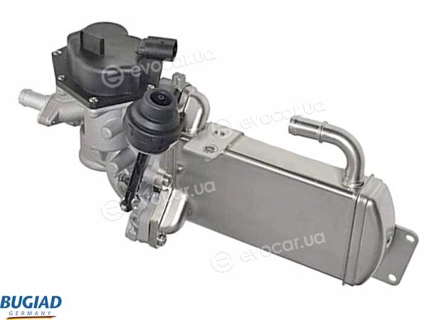 Bugiad BGR13096