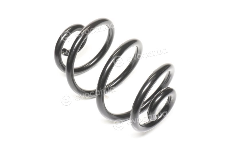 Lesjofors 4208403