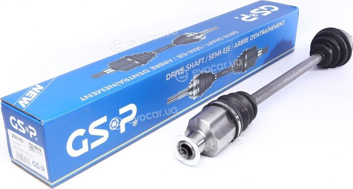 GSP 250193