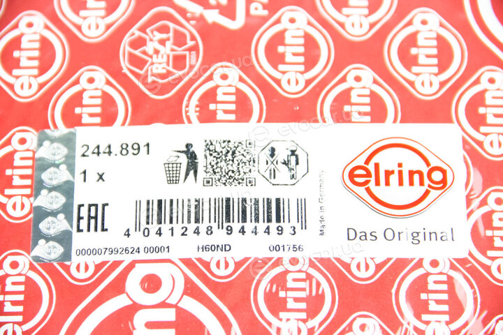 Elring 244.891
