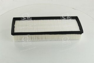 Champion CAF100895P