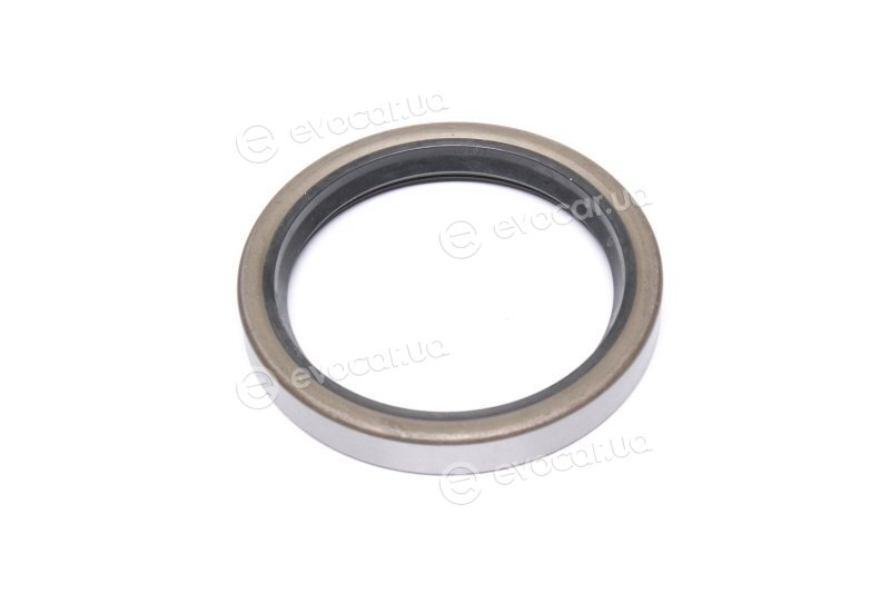 Elring 529.001