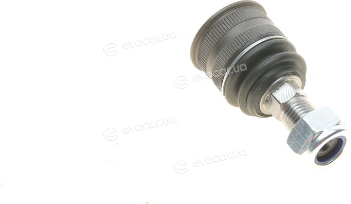 Solgy 203108