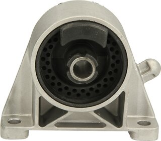 Delphi TEM010