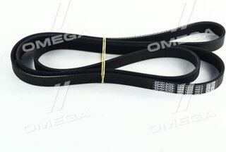 Dayco 6PK1875