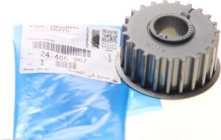 Mopar (PSA / FCA) 24405967