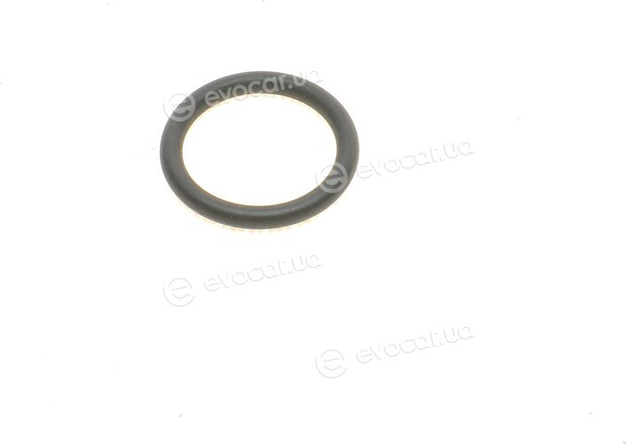 Elring 537.850