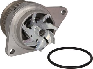 Hepu P556