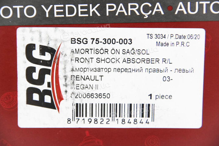 BSG BSG 75-300-003